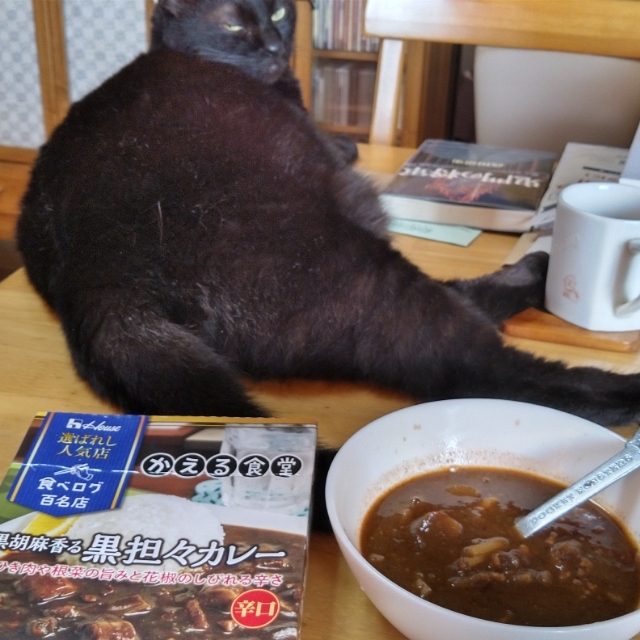 朝カレー かえる食堂黒担々カレー 猫絵師目羅の華麗なる生活r