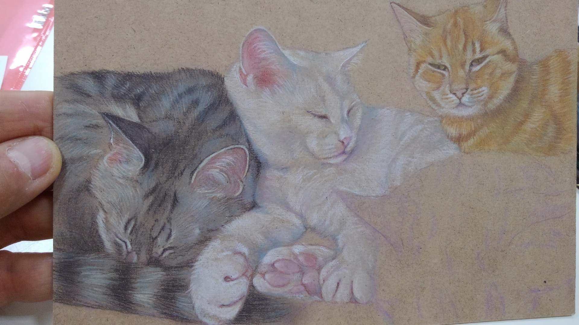 密な猫を描く サバトラ 猫絵師目羅の華麗なる生活r